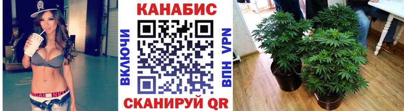 блэк спрут маркетплейс  Соликамск  Каннабис планчик 